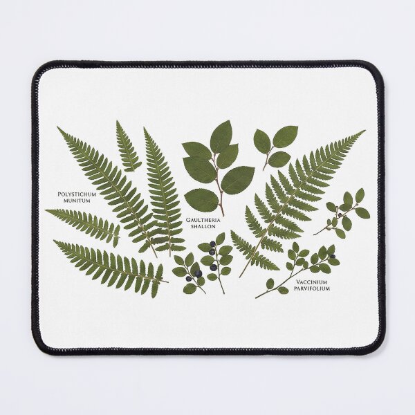 Item preview, Botanical Fern & Leaf Scan Art | Herbarium Plants designed and sold by PacificNWGearCo.
