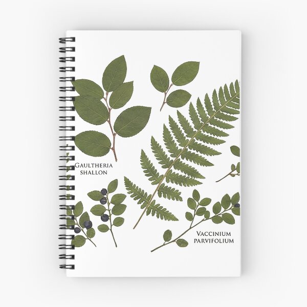 Item preview, Botanical Fern & Leaf Scan Art | Herbarium Plants designed and sold by PacificNWGearCo.