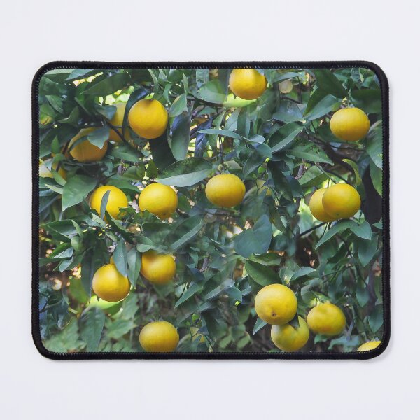 Item preview, Ready to Pick designed and sold by heatherfriedman.