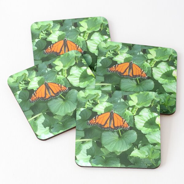 Item preview, monarch butterfly on green leaf just after emerging designed and sold by landscape-photos.