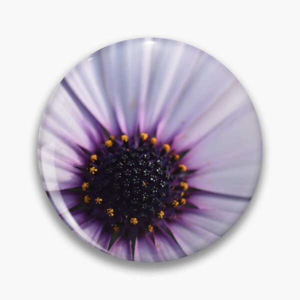 Item preview, White Daisy in Color designed and sold by tchnclrdydrm.