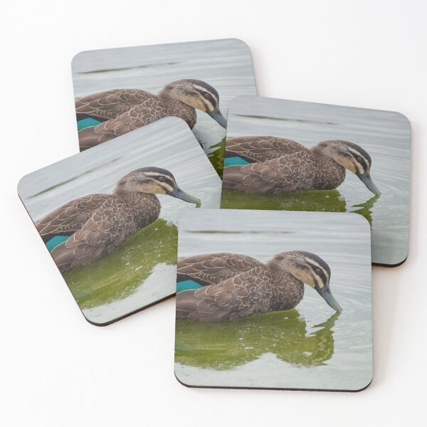 Item preview, Duck drinking water designed and sold by Dan Parish Photography.