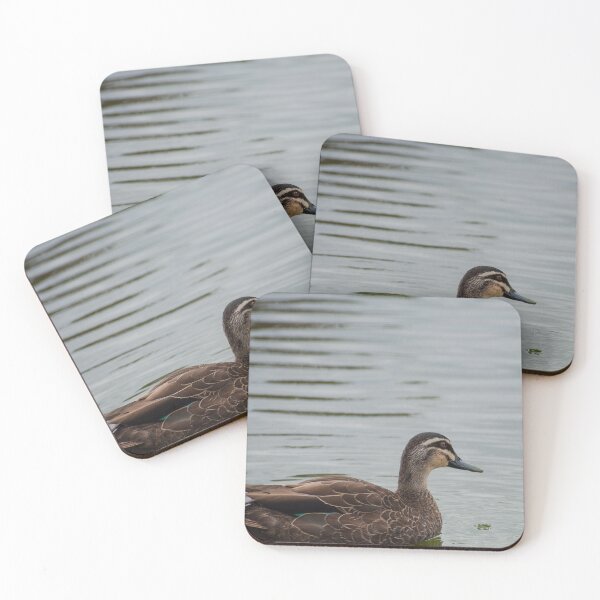 Item preview, Duck in the water designed and sold by Dan Parish Photography.