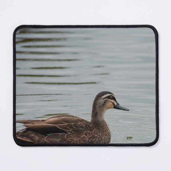 Item preview, Duck in the water designed and sold by Dan Parish Photography.