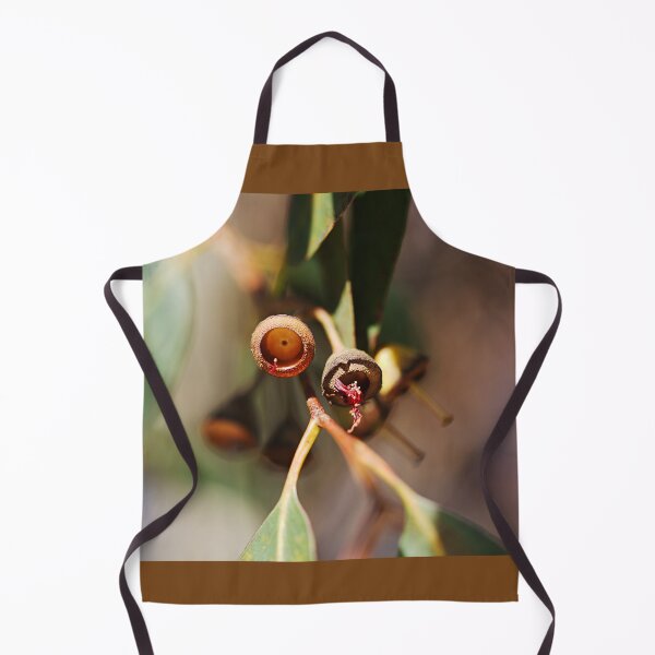 Item preview, Eucalyptus Seed Pods Close Up View designed and sold by Joy Watson - Natural Light Photography .