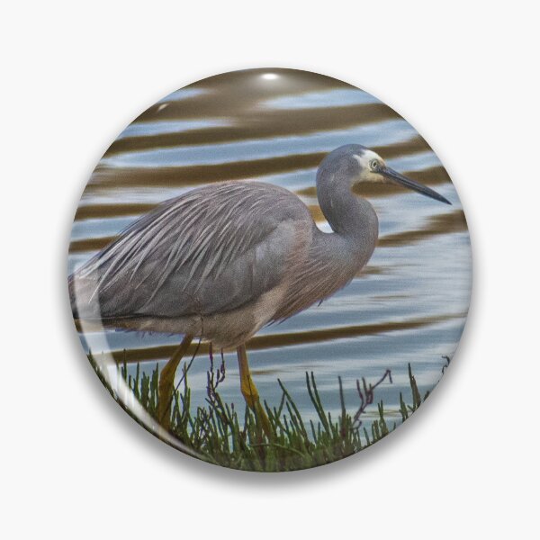 Item preview, bird in the wetland designed and sold by Dan Parish Photography.