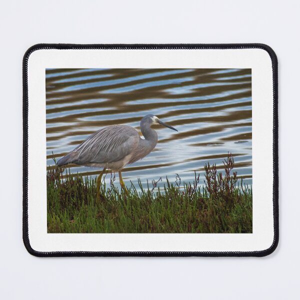 Item preview, bird in the wetland designed and sold by Dan Parish Photography.