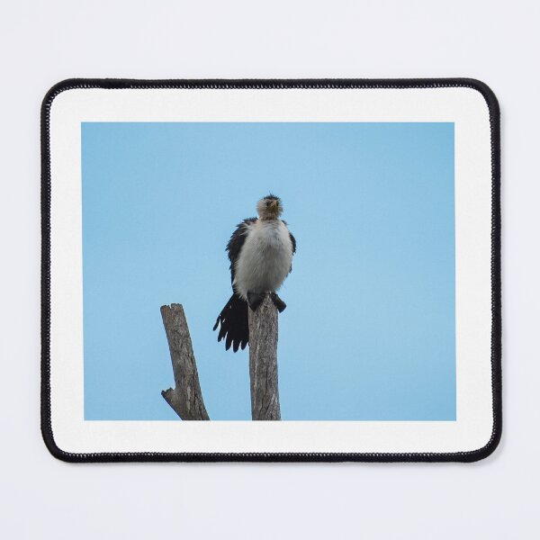 Item preview, fluffy bird on a tree branch designed and sold by Dan Parish Photography.