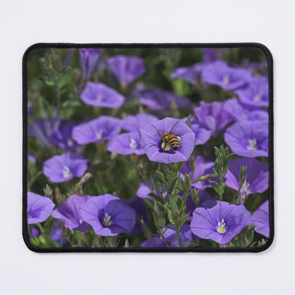 Item preview, Purple Flowers And Feasting Bee designed and sold by Joy Watson - Natural Light Photography .