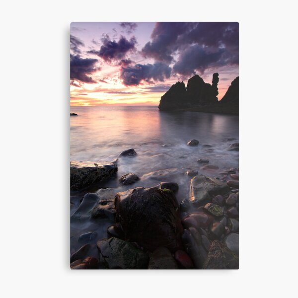 Pettico Wick Metal Print