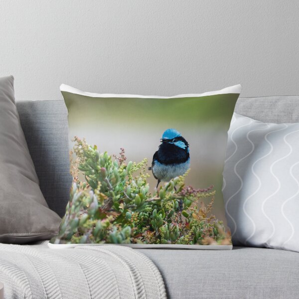 Item preview, Superb fairywren singing on a bush designed and sold by Dan Parish Photography.