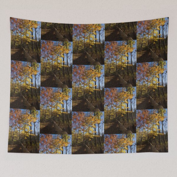 Item preview, Of Fall and Fallen Giants - Autumn Forest in the Sunshine designed and sold by Georgia Mizuleva.