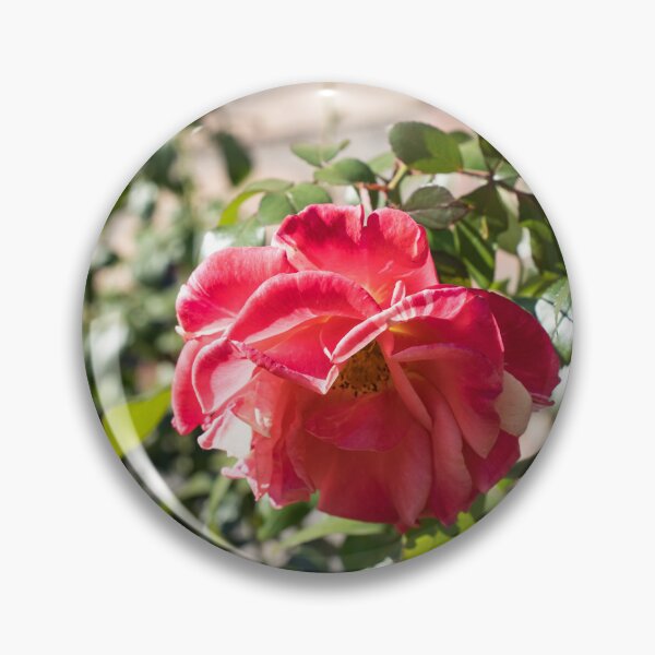 Item preview, The Last of the Roses designed and sold by Georgia Mizuleva.