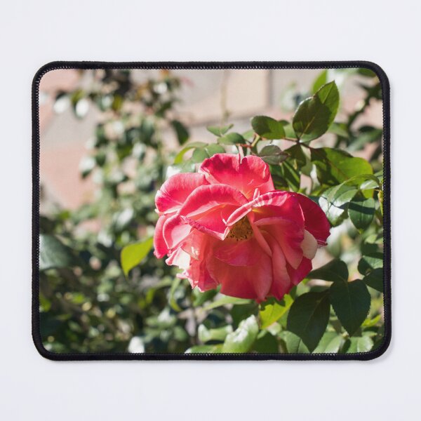 Item preview, The Last of the Roses designed and sold by Georgia Mizuleva.