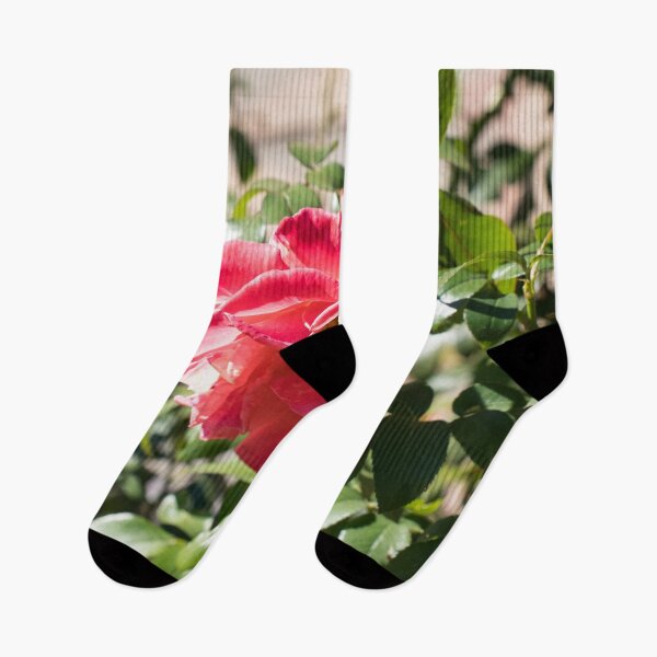 Item preview, The Last of the Roses designed and sold by Georgia Mizuleva.