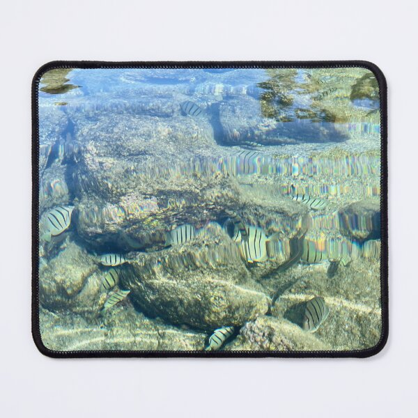 Item preview, Fish in Clear Ocean Water designed and sold by TrisaThyme.