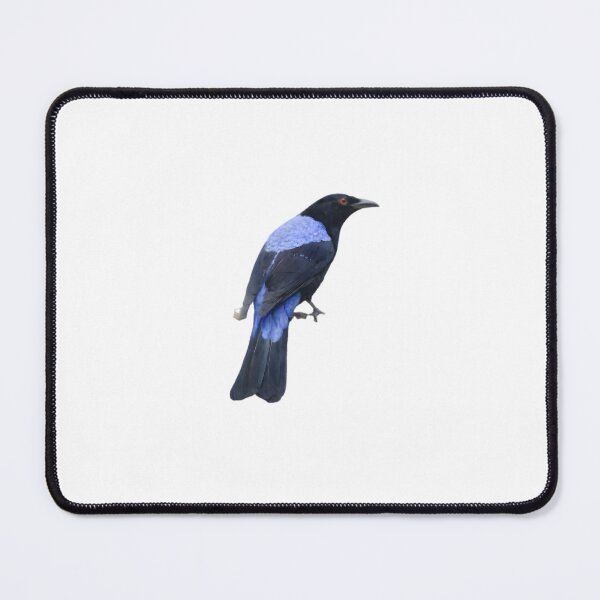 Item preview, Asian Fairy-bluebird (Irena puella) designed and sold by HOMETOWN86.