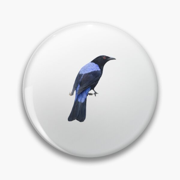 Item preview, Asian Fairy-bluebird (Irena puella) designed and sold by HOMETOWN86.