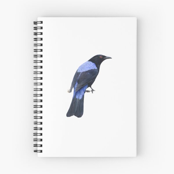 Item preview, Asian Fairy-bluebird (Irena puella) designed and sold by HOMETOWN86.
