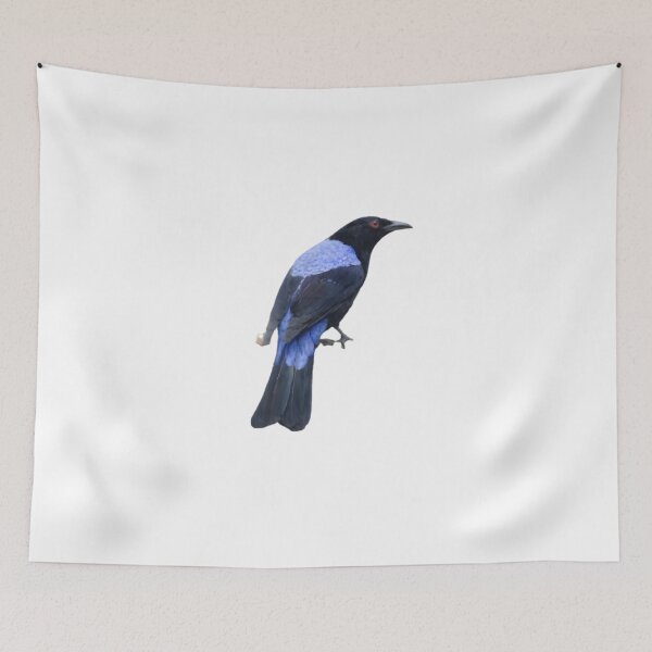 Item preview, Asian Fairy-bluebird (Irena puella) designed and sold by HOMETOWN86.