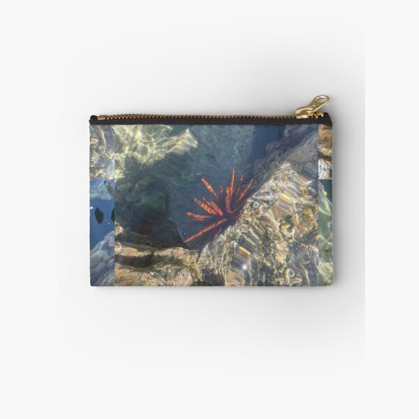 Item preview, Sea Urchin in Clear Tide Pool designed and sold by TrisaThyme.