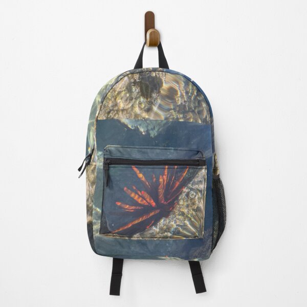 Item preview, Sea Urchin in Clear Tide Pool designed and sold by TrisaThyme.