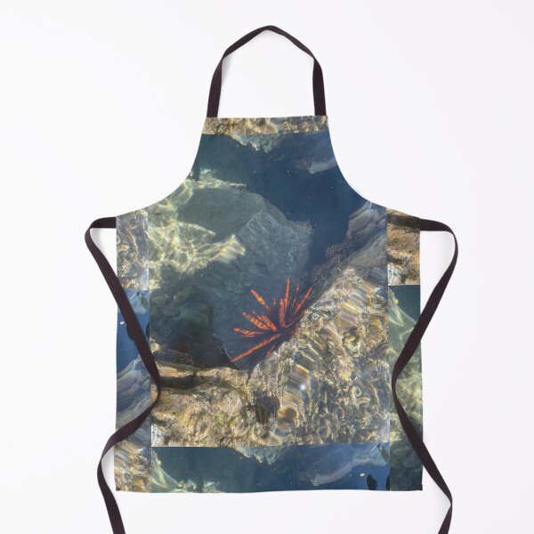 Item preview, Sea Urchin in Clear Tide Pool designed and sold by TrisaThyme.