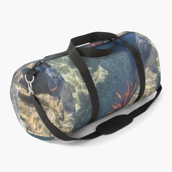 Item preview, Sea Urchin in Clear Tide Pool designed and sold by TrisaThyme.