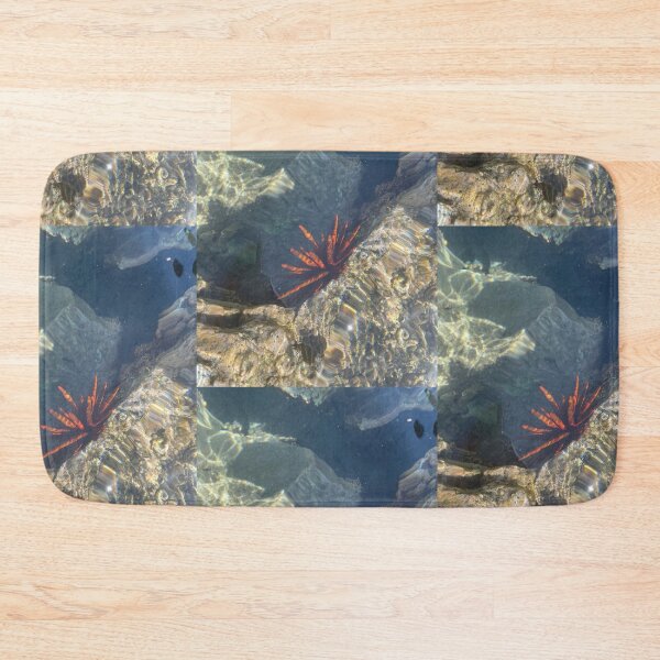 Item preview, Sea Urchin in Clear Tide Pool designed and sold by TrisaThyme.