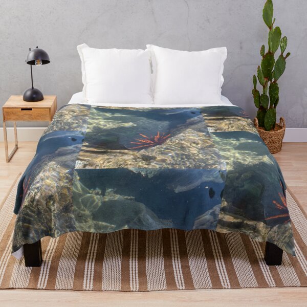 Item preview, Sea Urchin in Clear Tide Pool designed and sold by TrisaThyme.