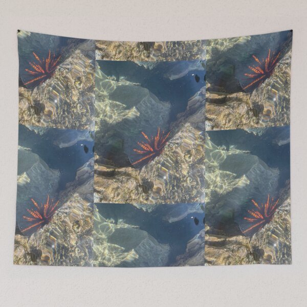 Item preview, Sea Urchin in Clear Tide Pool designed and sold by TrisaThyme.