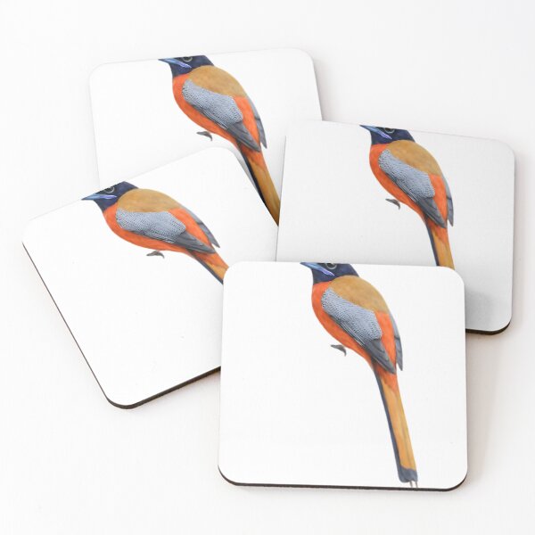 Item preview, Scarlet-rumped Trogon (Harpactes duvaucelii) designed and sold by HOMETOWN86.