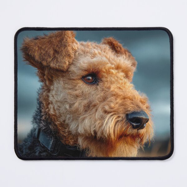 Item preview, Lakeland Terrier Portrait designed and sold by Elisabeth Lucas.