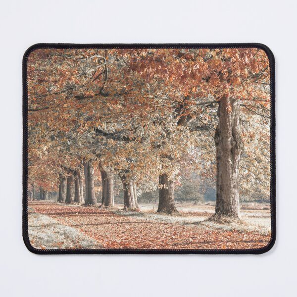 Item preview, Fall Splendor designed and sold by assaf.