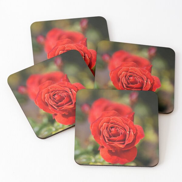 Item preview, Vibrant Red Roses in Bloom designed and sold by Joy Watson - Natural Light Photography .