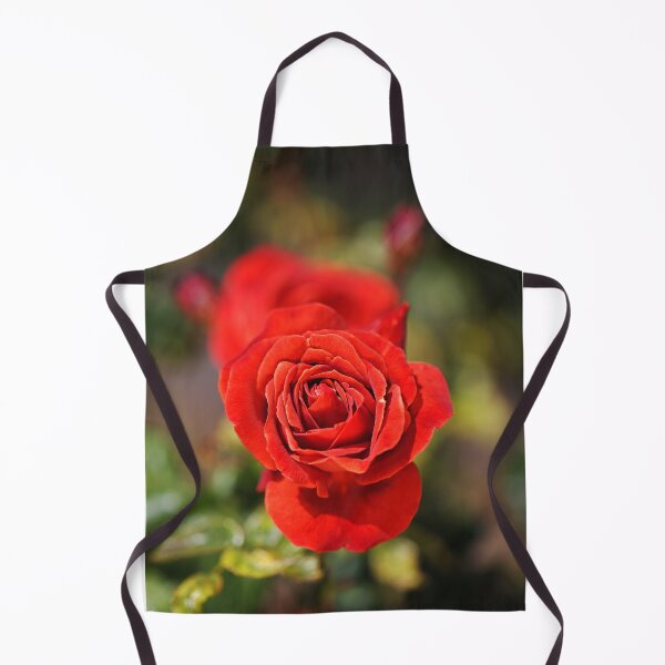 Item preview, Vibrant Red Roses in Bloom designed and sold by Joy Watson - Natural Light Photography .