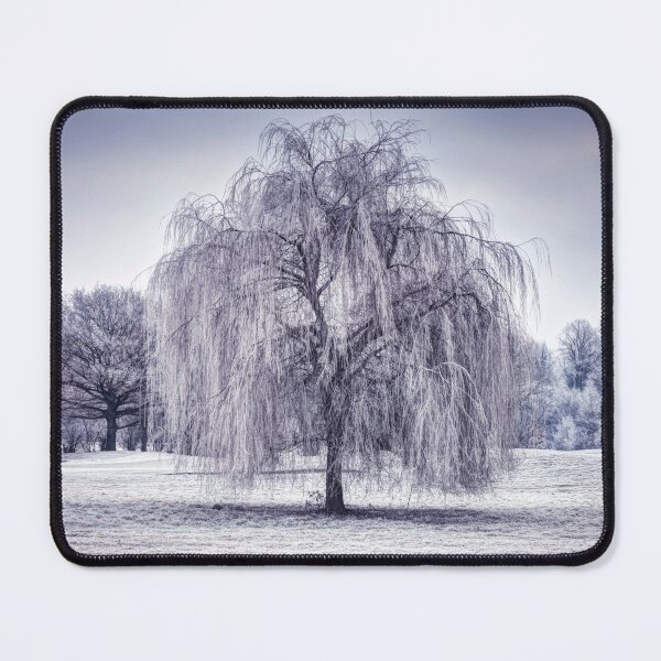 Item preview, Winter Weeping Tree designed and sold by assaf.