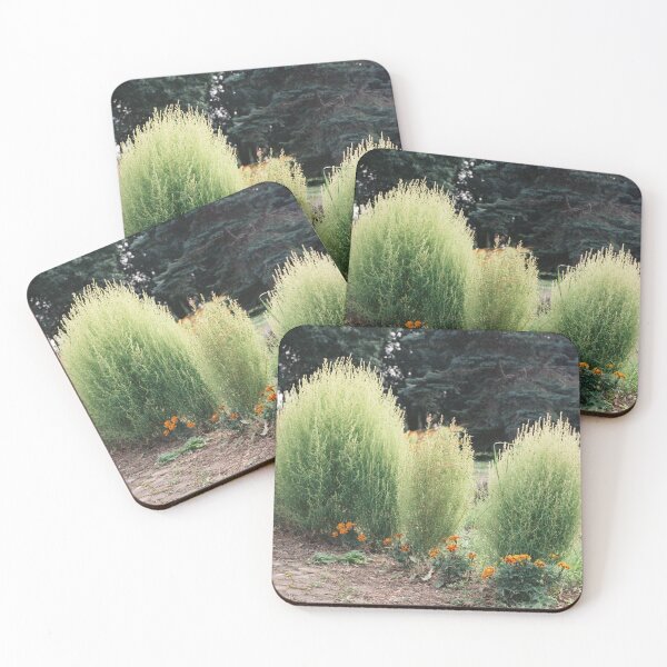 Item preview, Outdoor Plant designed and sold by kiki-moonrise.