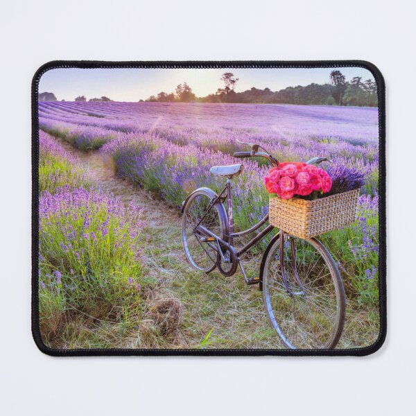 Item preview, Bicycle in a Lavender Field designed and sold by assaf.