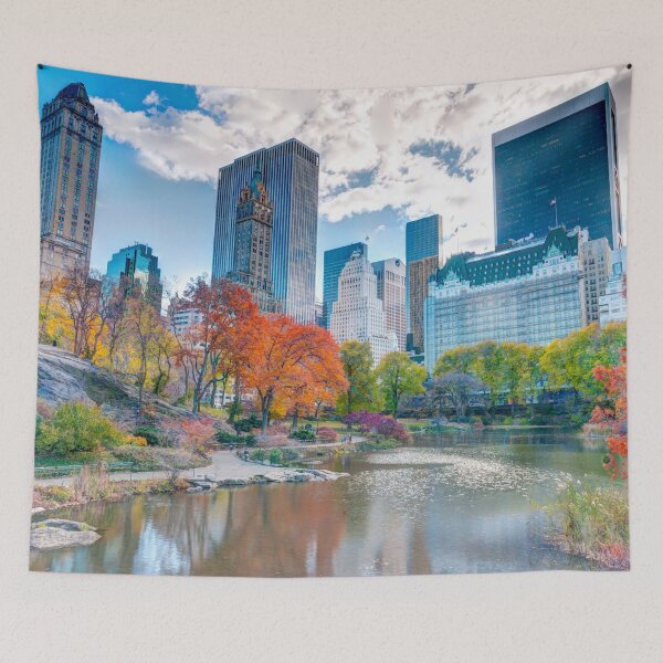 Item preview, Pond at Central Park designed and sold by assaf.
