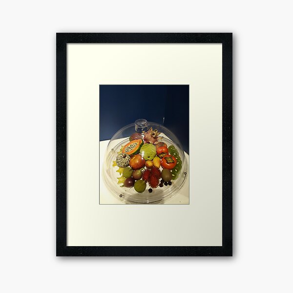 fruit fruit fruit Framed Art Print