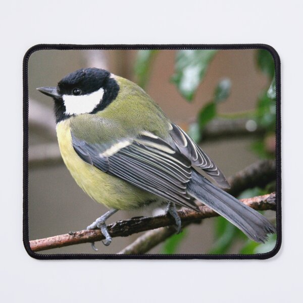 Item preview, Great tit designed and sold by KathleenDawson.