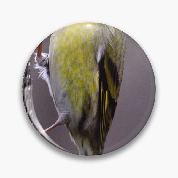 Item preview, siskin designed and sold by KathleenDawson.