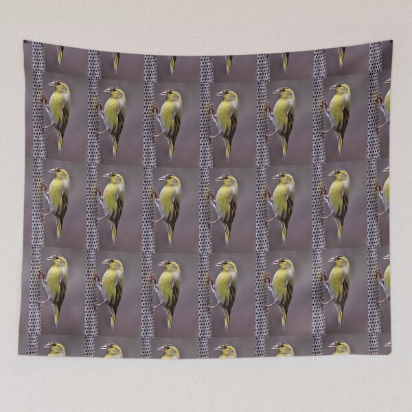 Aperçu de l'œuvre siskin créée et vendue par KathleenDawson.