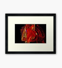 Story Teller Framed Print