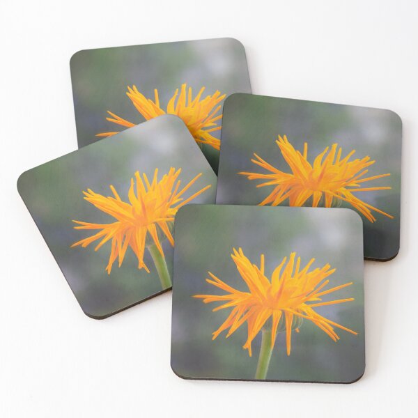 Item preview, Shake It Up, Baby! designed and sold by Kasia Design.