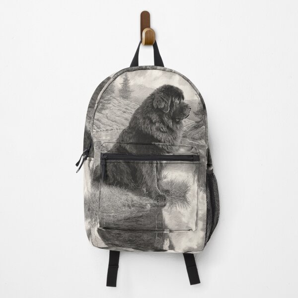 Item preview, A calm Newfoundland sitting beside a reflective lake, Dogs in Motion designed and sold by CDC40.