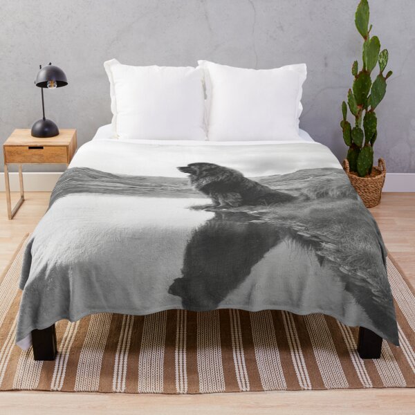 Item preview, A calm Newfoundland sitting beside a reflective lake, Dogs in Motion designed and sold by CDC40.