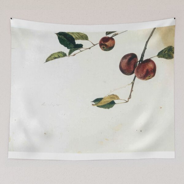 Item preview, Apples on a Bough, Study Before Picking - Contemporary Realism - Andrew Wyeth designed and sold by AleksandraArto.
