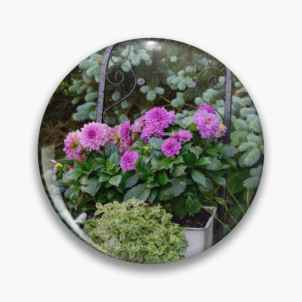 Item preview, Dahlias in the Garden designed and sold by Kathy Weaver.